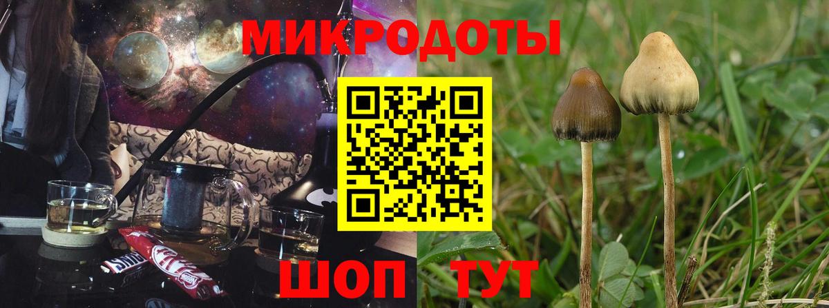 Орехово-Зуево  наркошоп  Вход с VPN  Галлюциногенные грибы Psilocybine cubensis 